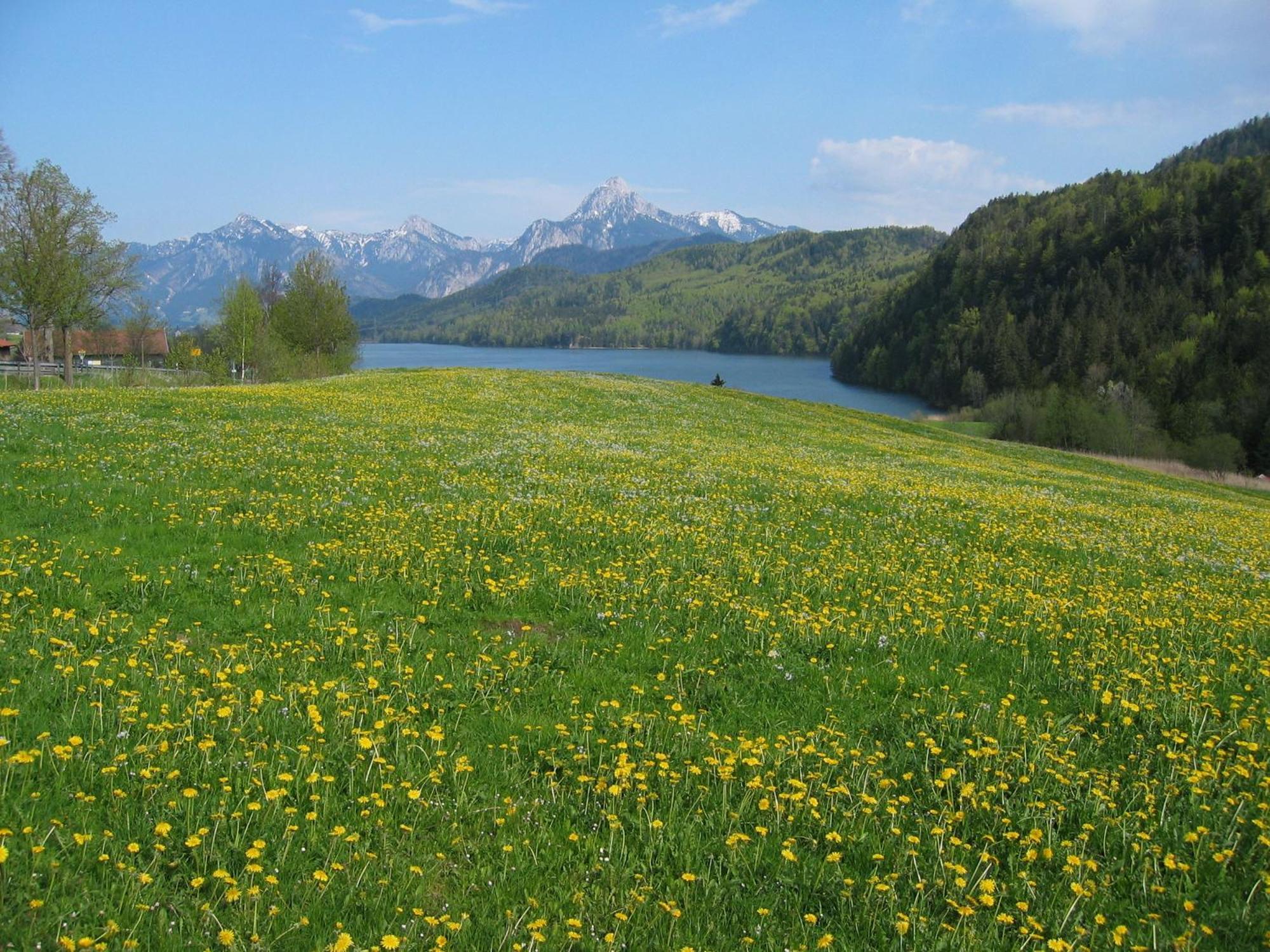 Guest house Steigmuehle Garni Fussen