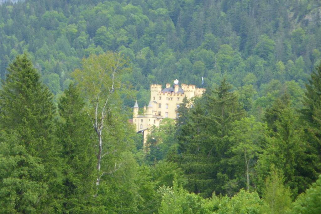 Steigmuehle Garni Guest house